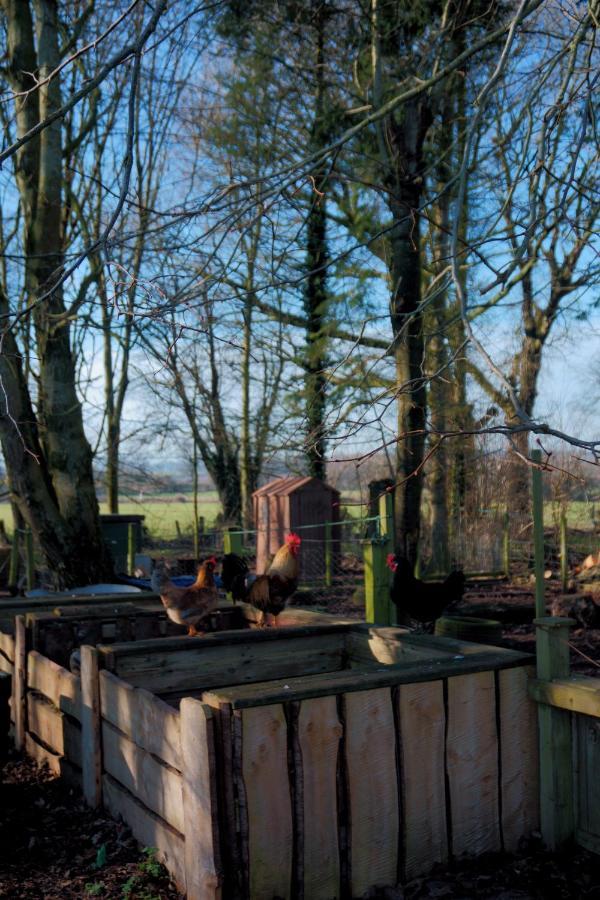 Villa Meadow Barn Hereford Exterior foto